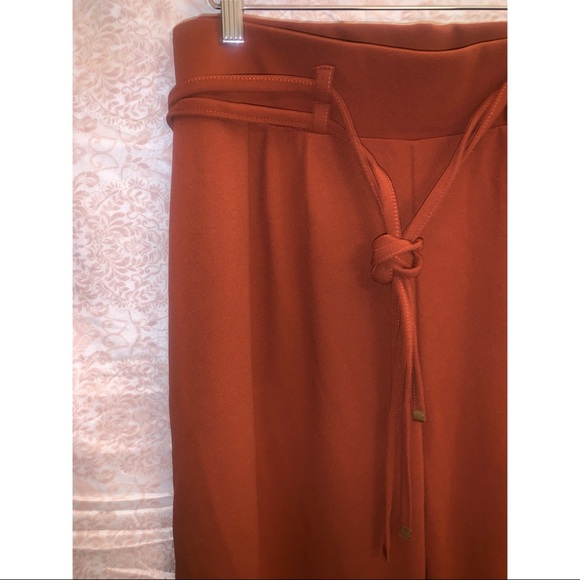 Plus Size Dress Pants W/ Belt - Picture 3 of 4